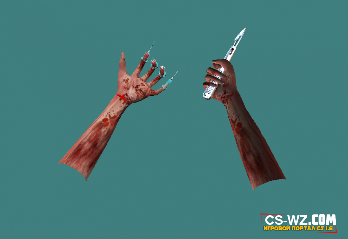    ZM  CS 1.6